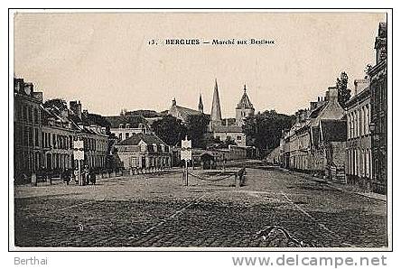 59 BERGUES - Marche Aux Bestiaux - Bergues