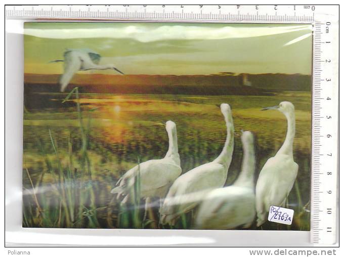 PO2763A# STEREOSCOPICA - UCCELLI - BIRDS - CICOGNE - EGRETS - AIRONI   No VG - Stereoscope Cards