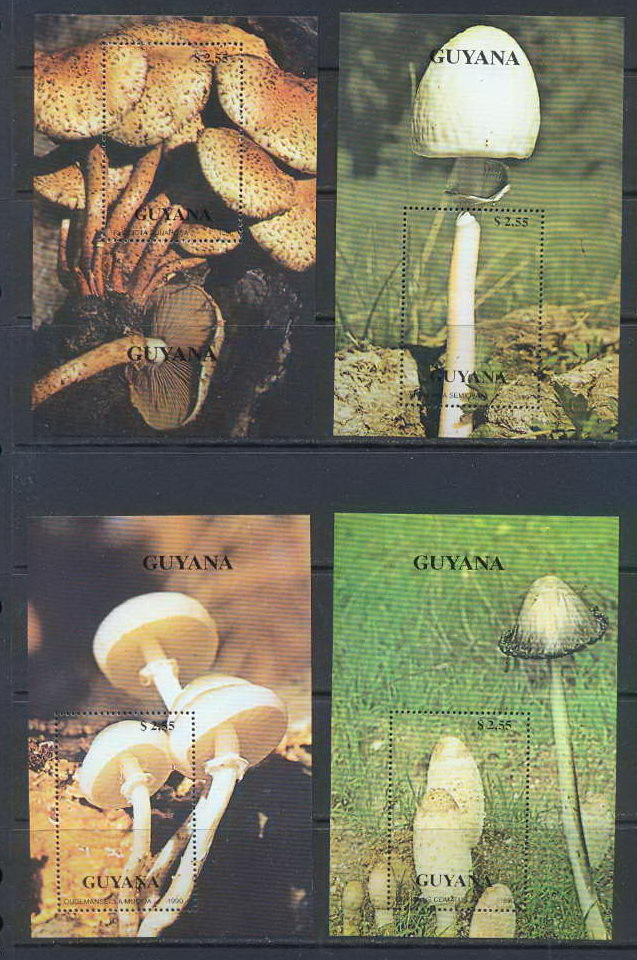 GUYANE - 292 -  N° 2355/58 BLOC NON EMIS Champignon (mushroom-funghi) - Funghi