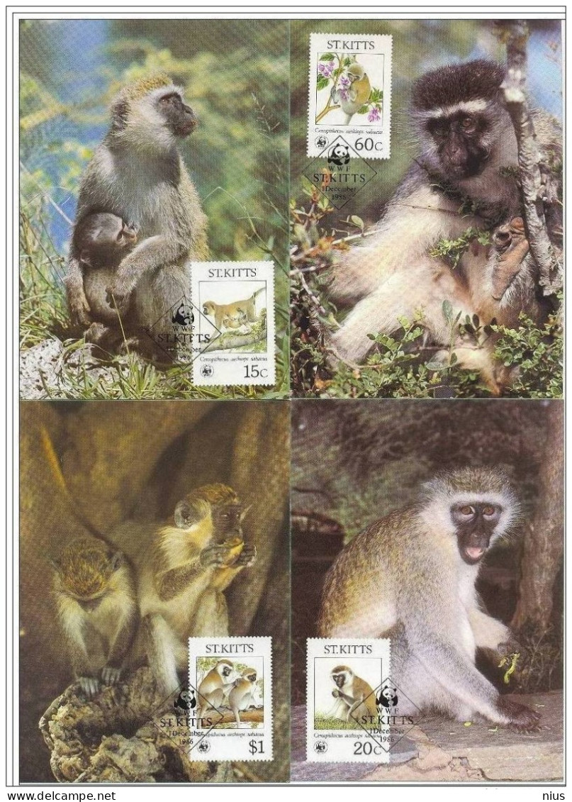 St. Kitts 1986 WWF W.W.F. Green Monkey MC Set Fauna Maximum Cards - Maximum Cards