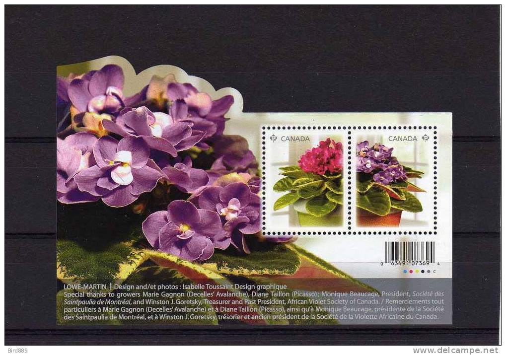 2010 Canada Flowers African Violets Miniature Sheet MNH - Unused Stamps