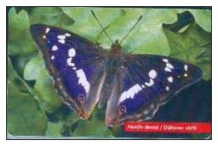 # SLOVAKIA 23_98 Duhovec Vacsi Buterfly 50 Ods -butterfly,papillon-  Tres Bon Etat - Slovaquie