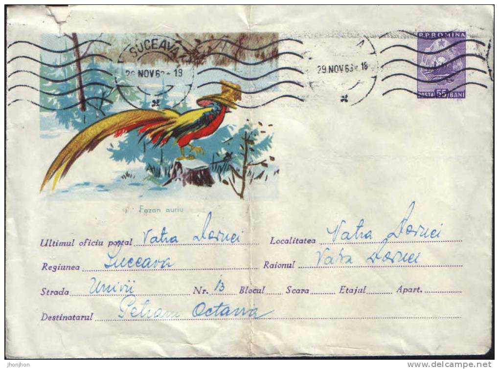 Romania-Postal Stationery Cover1963 Rare! -Golden Pheasant - Gallinaceans & Pheasants