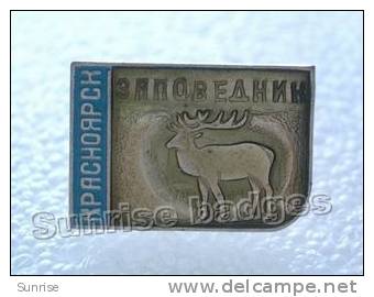 Animals: Deer (forest Reserve) / Old Soviet Badge _70_an4224 - Animals