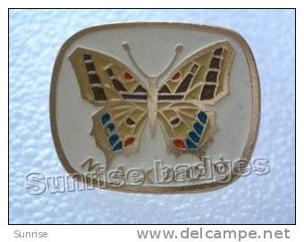 Animals: Mahaon Batterfly (forest Reserve) / Old Soviet Badge _70_an4250 - Animals