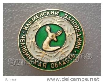 Animals: Roe (deer) (forest Reserve) / Old Soviet Badge _70_an4182 - Animals