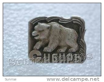 Animals: Siberian Bear (forest Reserve) / Old Soviet Badge _70_an4231 - Dieren