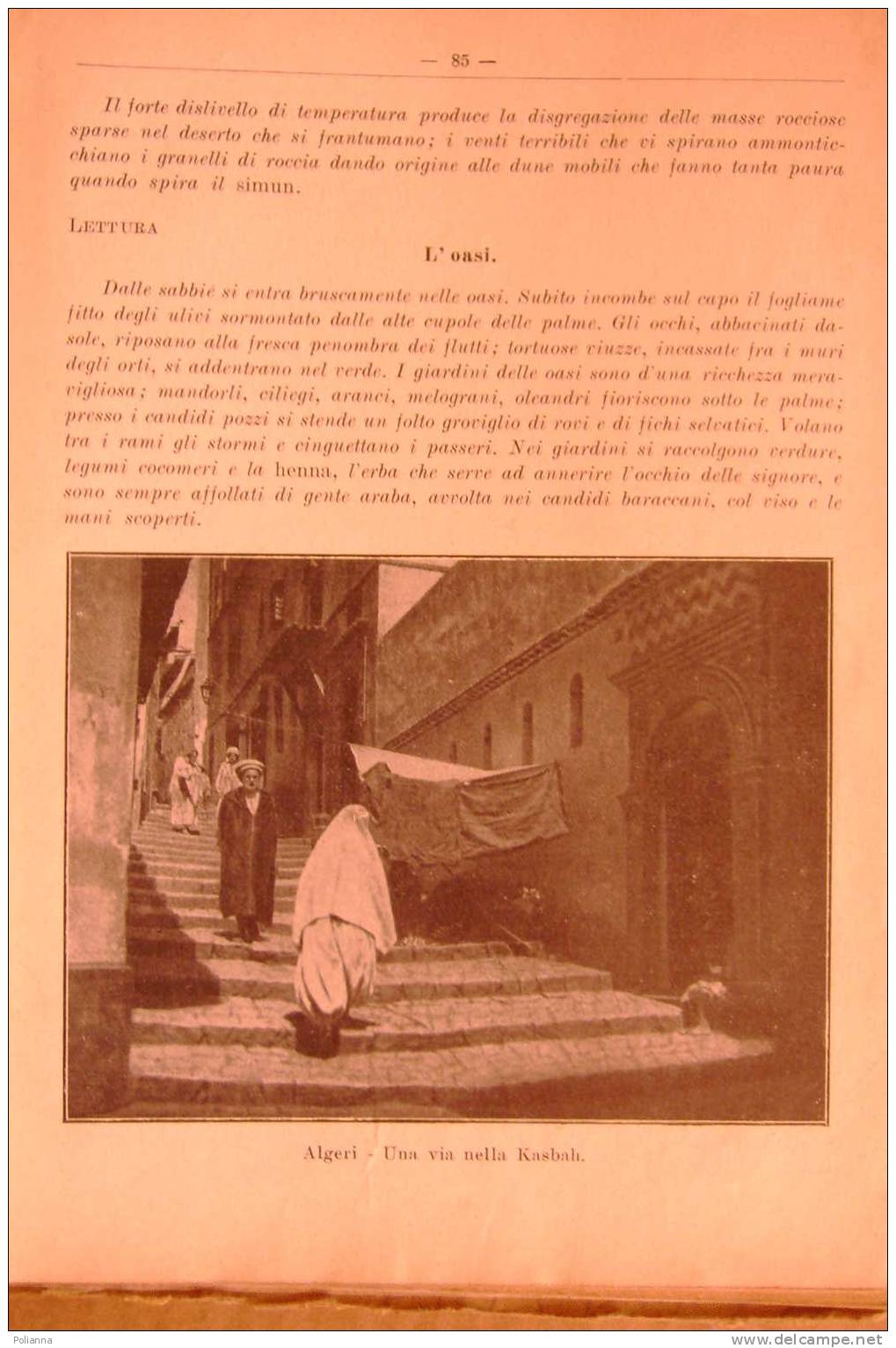 PDK/21 Flores GEOGRAFIA Sandron Ed.1930/Monte Fusijama/Dogana Di Kabul/Etiopia/Algeri/Esquimesi/Polinesia - History, Philosophy & Geography