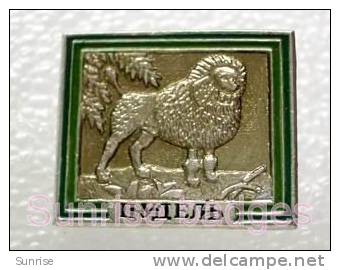 Animals: Poodle Dog / Old Soviet Badge _81_an5462 - Animals