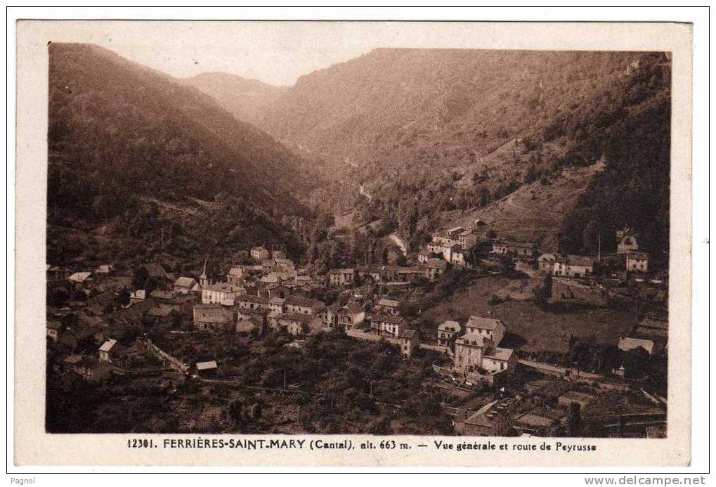 15 : Ferrières-Saint-Mary : Vue Générale Et Route De Peyrusse - Autres & Non Classés