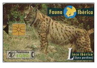 # SPAIN PU104 Lynx Pardina 1000 Gem 03.96 -animal- Tres Bon Etat - Otros & Sin Clasificación