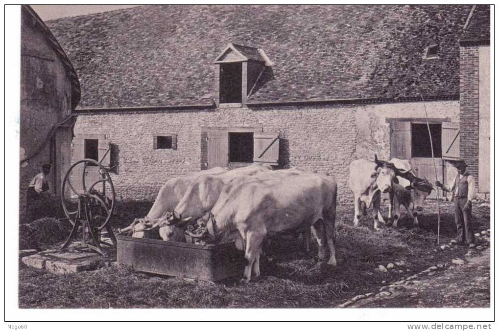 * Beauce - Retour à La Ferme - Ile-de-France