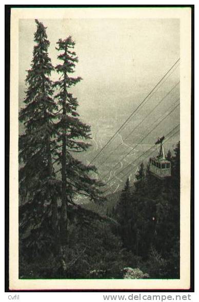 AUSTRIA - RAXSEILBAHN: An Der Grenze Des Bergwaldes - POSTAL CARD - Other & Unclassified