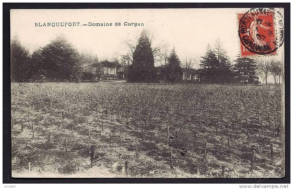 CPA  ANCIENNE- FRANCE- BLANQUEFORT (33)- DOMAINE DE CURGAN- LE VIGNOBLE AU 1° PLAN- JEUNE VIGNE - Blanquefort