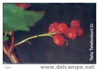 # SWEDEN 60111-263 Redcurrant 30 Orga 09.97 -fleurs,flowers- Tres Bon Etat - Sweden