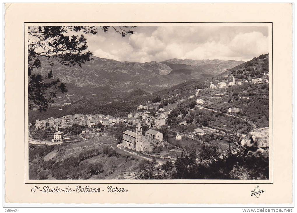 20 CORSE CPSM Sainte Lucie De Tallano - Sartene