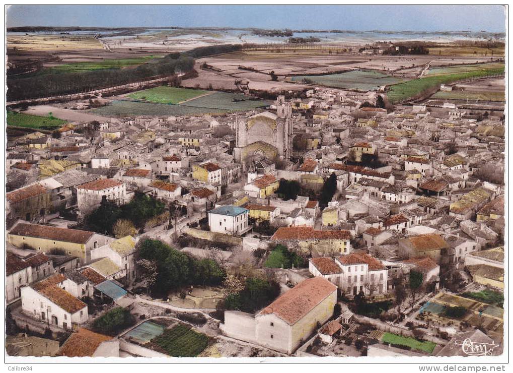 34 CPSM CAPESTANG Vue Générale Aérienne - Capestang