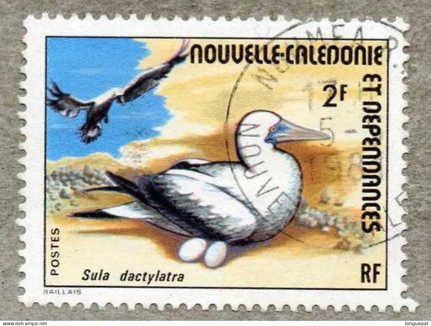 NOUVELLE-CALEDONIE : FOU Masqué : Sula Dactylatra - Famille Des Sulidae - Used Stamps