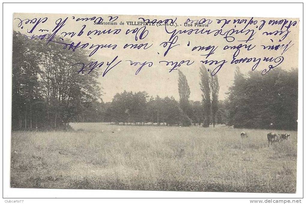 Villepinte (93) : Elevage De Vaches Dans La Prairie Du Sanatorium Env 1910 (animée). - Villepinte