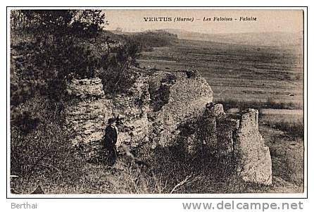 51 VERTUS - Les Falaises - Falaise - Vertus