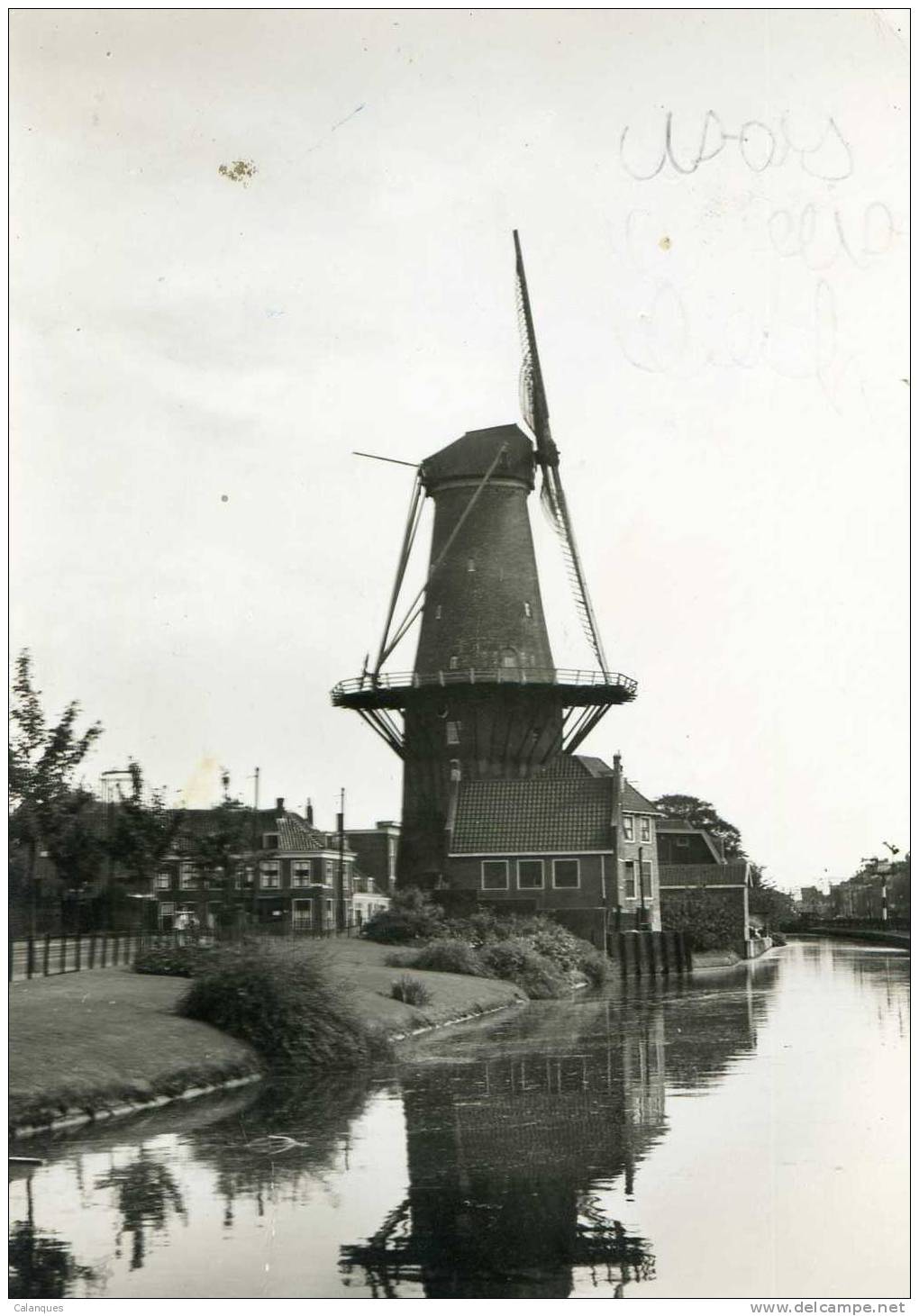 CPSM Delft - Molen De Roos - Delft