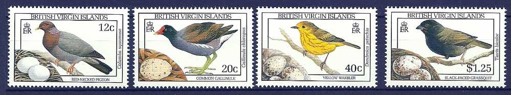 British Virgin  1990 Birds Oiseaux  Aves Eggs Shearwater Pigeon Moorhen Heron Warbler Hummingbird MNH - Marine Web-footed Birds