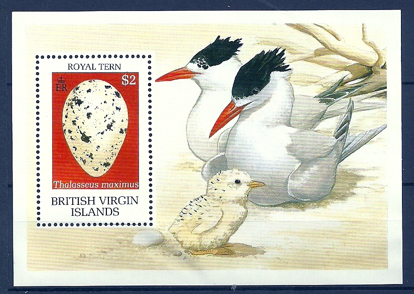 British Virgin  1990 Birds Oiseaux Aves Eggs Tern Tropicbird Sheet MNH - Marine Web-footed Birds