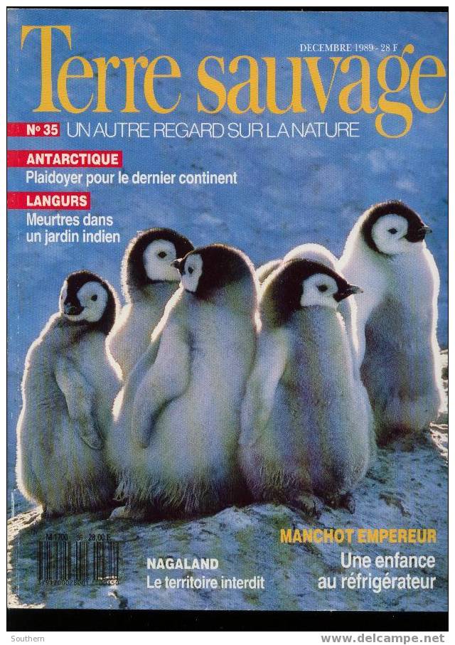 TERRE SAUVAGE N° 35  Antarctique Langurs Nagaland Sumatra Zemi-Naga Rajasthan Langurs Hanuman - Aardrijkskunde