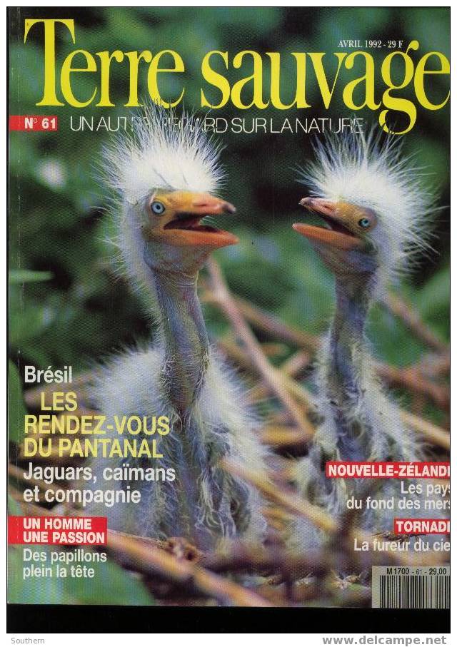 TERRE SAUVAGE N° 61  Brésil Nouvelle-Zélande Tornade Grand Corbeau Brésil Pantanal Papillons Makuna - Aardrijkskunde