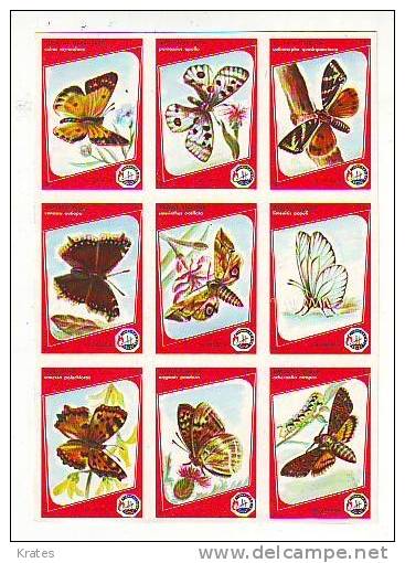 Matchbokes -  Dolac, Bosnia, Butterflies - Boites D'allumettes