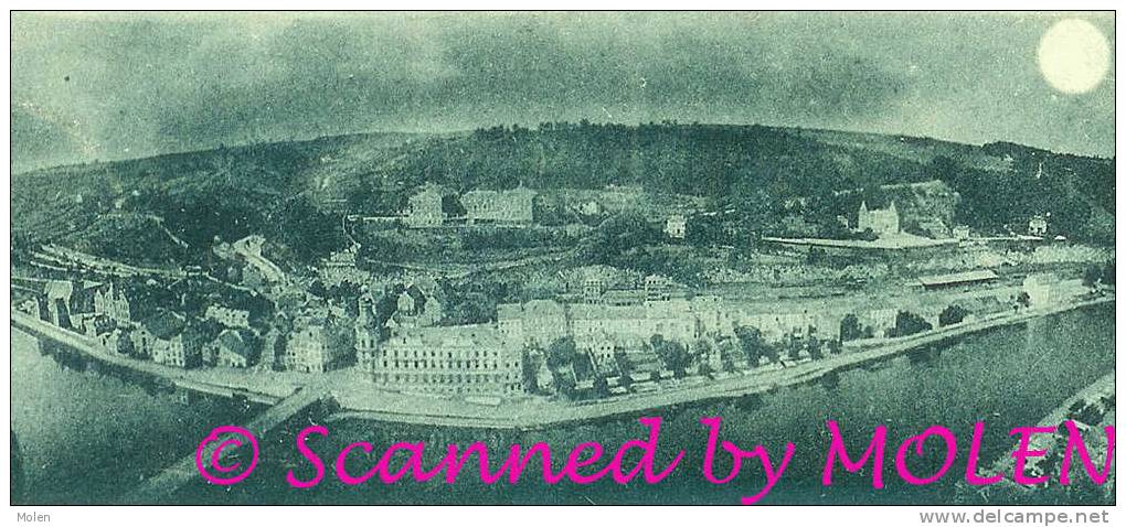 Circulée 1899 PANORAMA PRISE DE LA CITADELE MEUSE & SAMBRE = DINANT A229 - Dinant