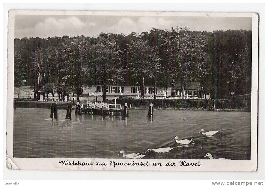 AK Wannsee Pfaueninsel P*2152 - Wannsee