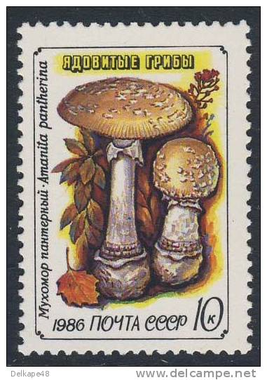 Soviet Unie CCCP Russia 1986 Mi 5605 YT 5306 ** Amanita Pantherina : Panther Cap / Pantherpilz / False Blusher / Amanité - Paddestoelen