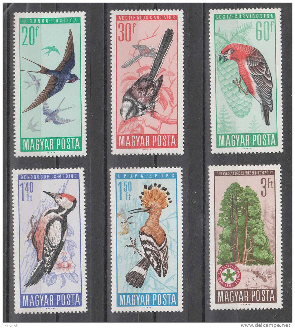 Ungheria   -   1966.  Rondine, Passero, Picchio, Upupa, Pettirosso.  Bird-rearing.  Complete  Series  Fresh, MNH - Swallows