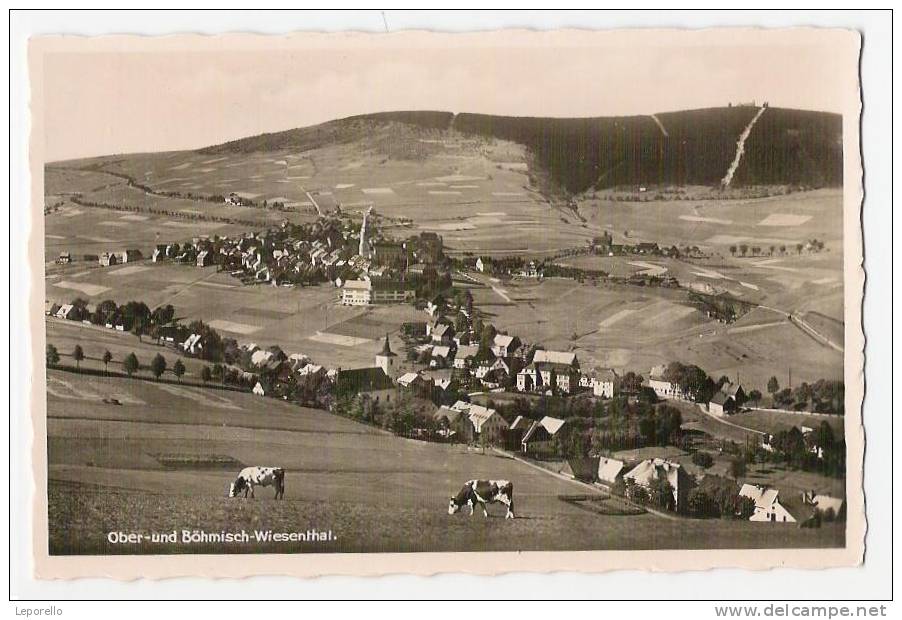 AK BÖHMISCH WIESENTHAL Loucna Pod Klinovcem ///  P*1095 - Sudeten