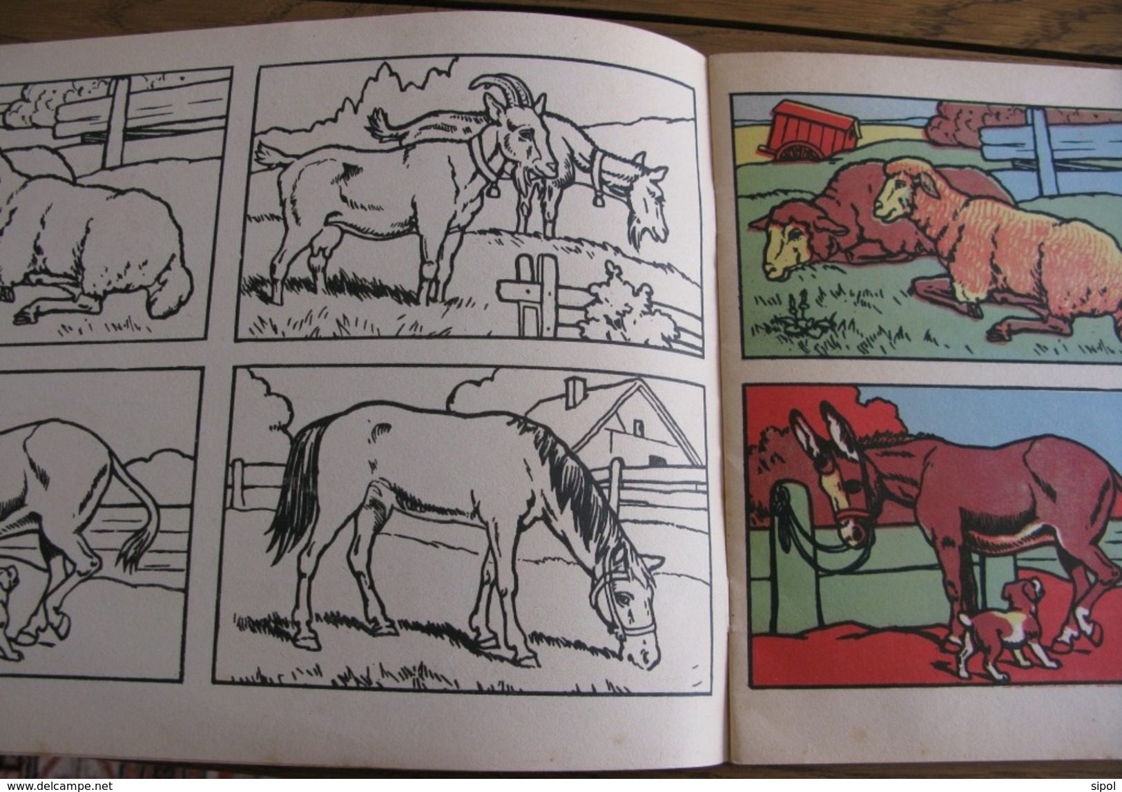 Album à colorier Editions Bias Paris Années 1945 env 12 pages 30 x 21.5 cm  Animaux sauvages et de la ferme (Ourson, gir