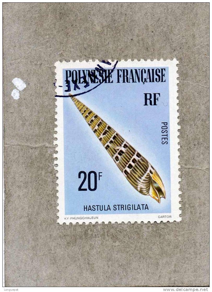 POLYNESIE Française : Coquillage : Hastula Strigilata (mollusque Gastéropode) - Oblitérés