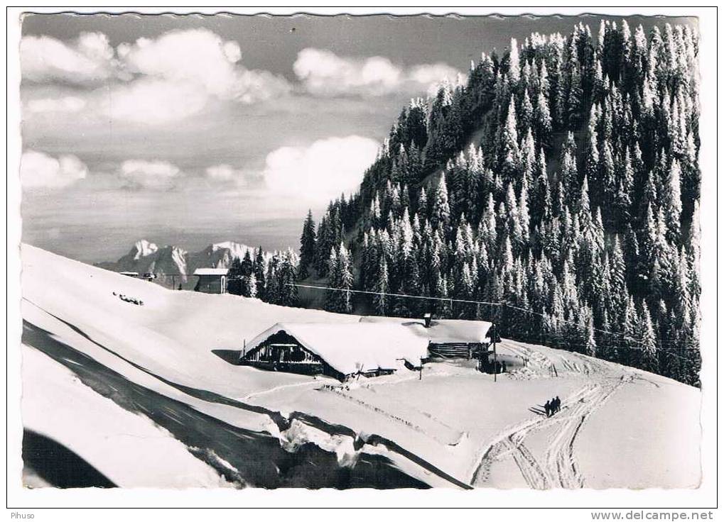 Ö-229   BERWANG : Hochalm Mit Zugspitze - Andere & Zonder Classificatie