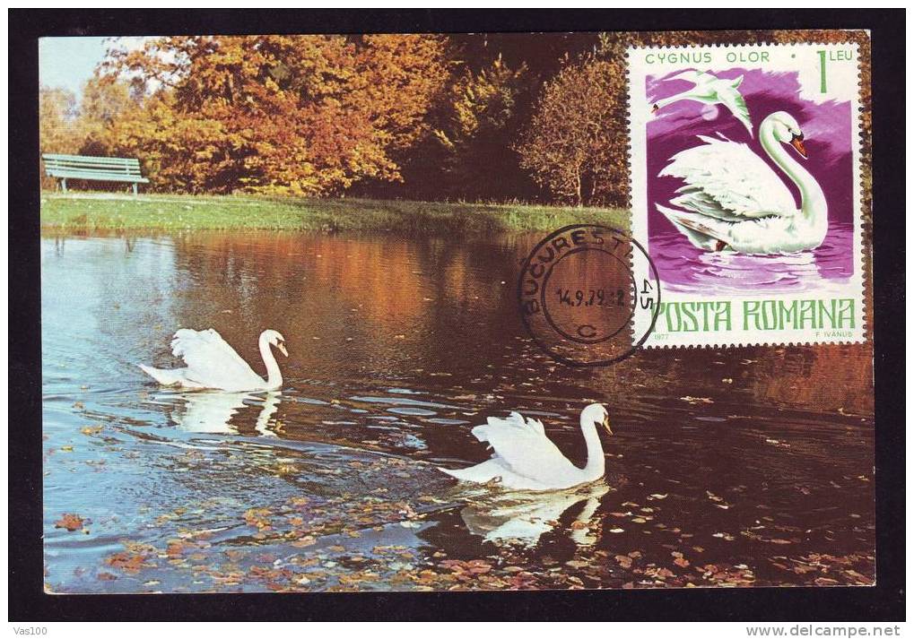 BIRDS -Ducks - MAXICARD - MAXIMUM CARD ROMANIA 1979. - Entenvögel