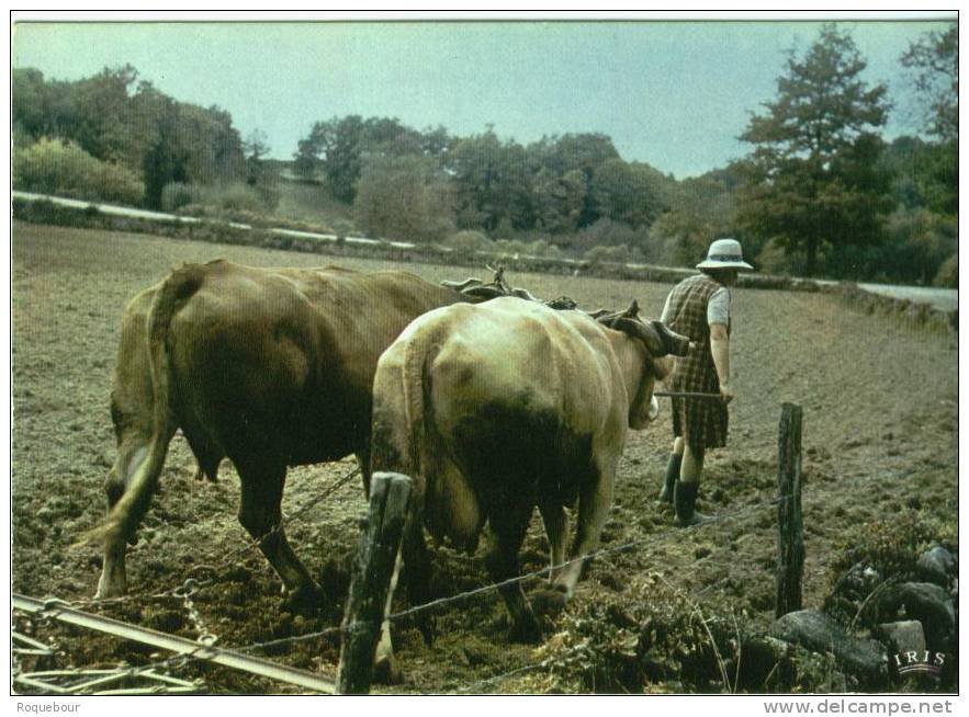 87 -  Attelage , Le Hersage  - Semi Moderne - TBE - Panazol