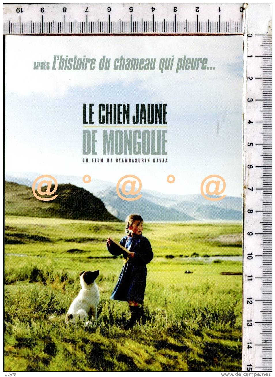 Après L'histoire Du Chameau Qui Pleure....    LE CHIEN JAUNE De MONGOLIE  Un Film De Byambasuren Davaa - Affiches Sur Carte