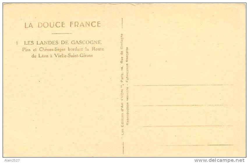 40 - VIELLE-SAINT-GIRONS - Pins Et Chênes-lièges Bordant La Route (Ed. Yvon, N° 1) - Castets