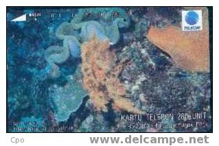 # INDONESIA S161 Soft Corals 280 Tamura 05.93  Tres Bon Etat - Indonesia