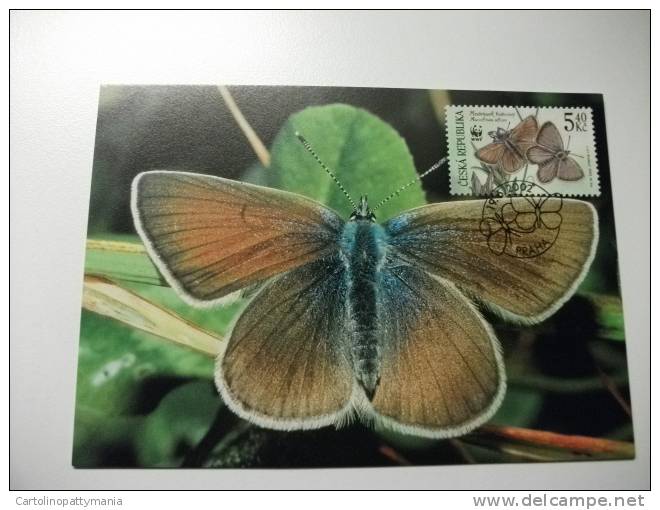 Annullo Speciale Maximum Butterfly Farfalla  Wwf Repubblica Ceca - Butterflies