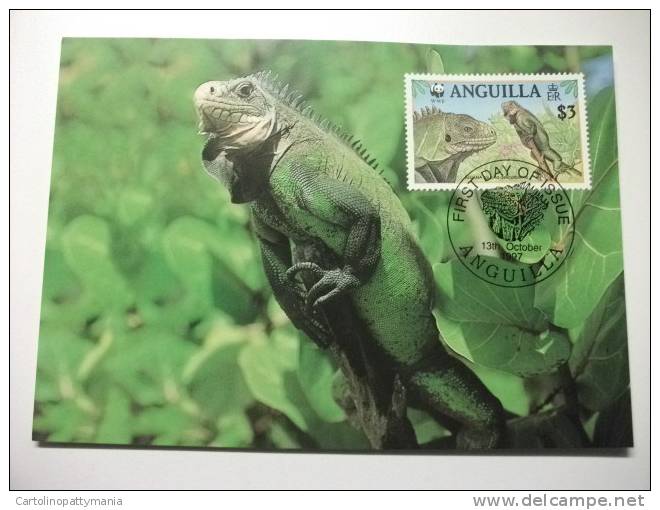 Annullo Speciale Maximum Wwf  Anguilla Iguana - Altri & Non Classificati