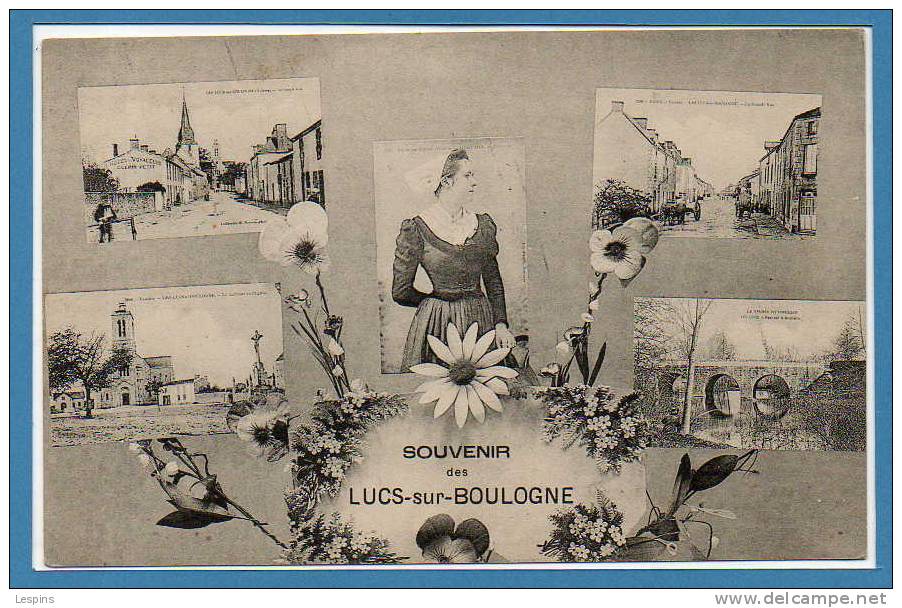 85 - LES LUCS Sur BOULOGNE --  Souvenir Des..... - Les Lucs Sur Boulogne