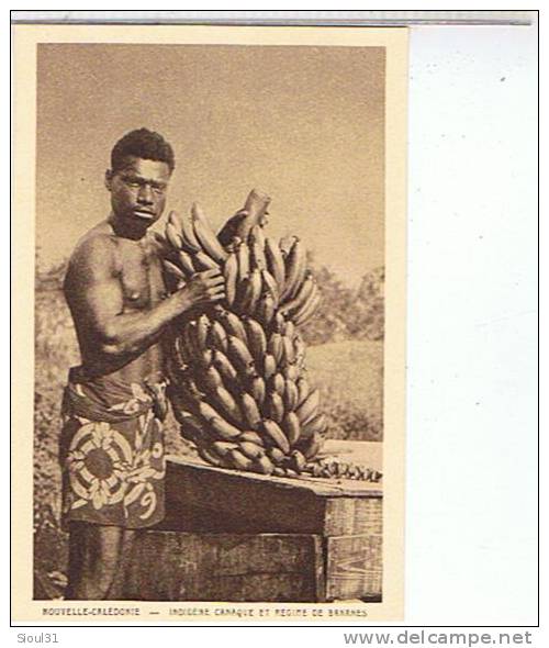 NOUVELLE- CALEDONIE  - INDIGENE  CANAQUE  ET  REGIME  DE BANANES        TTBE - Nouvelle Calédonie