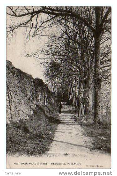 Mortagne (Vendée) - L'escalier Du Pont-Vieux - Lib. Poupin N° 669 - Mortagne Sur Sevre