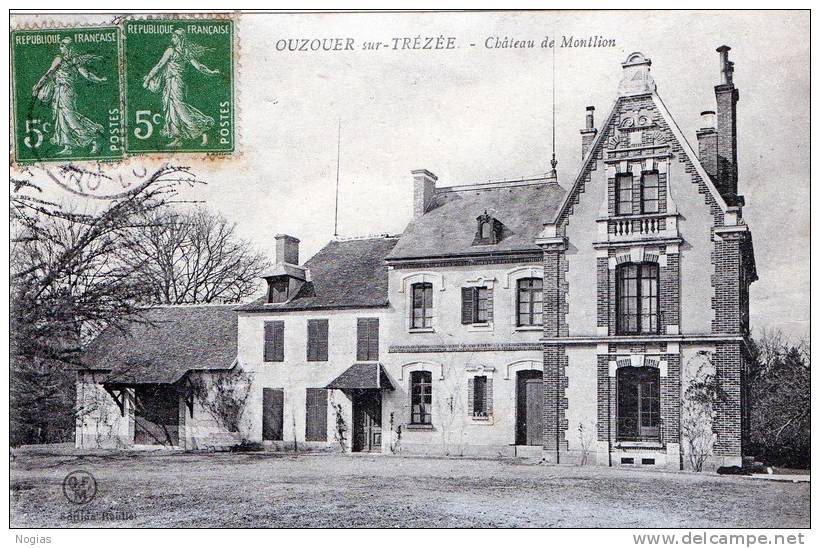 OUZOUER SUR TREZEE - BEAU PLAN DU CHATEAU DE MONTLION - - Ouzouer Sur Loire