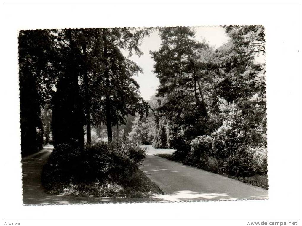 BRASSCHAAT Pensionaat O.L.V Ter Heide (park) - Brasschaat